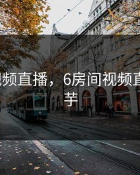 6房间视频直播,6房间视频直播小洋芋
