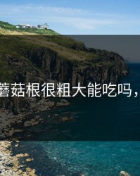 紫色的蘑菇根很粗大能吃吗，c深t浅