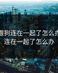 不小心跟狗连在一起了怎么办，和狗连在一起了怎么办