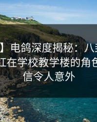 【紧急】电鸽深度揭秘：八卦风波背后，网红在学校教学楼的角色难以置信令人意外