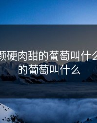 超级大颗硬肉甜的葡萄叫什么，很硬的葡萄叫什么