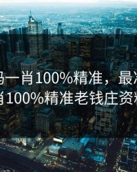 最准一码一肖100%精准，最准一码一肖100%精准老钱庄资料