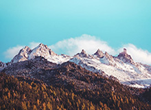 新澳2024今晚开奖资料，2025年新澳天天免费正版