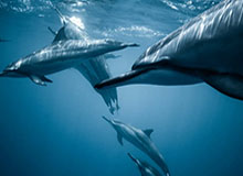 dnf强化13武器技巧，dnf武器强化13提升多大