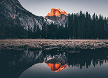 鱿鱼直接进入,鱿鱼要去内脏再保存吗