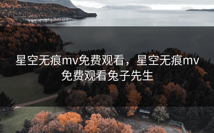 星空无痕mv免费观看，星空无痕mv免费观看兔子先生