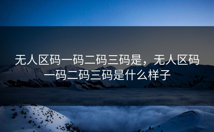 无人区码一码二码三码是，无人区码一码二码三码是什么样子