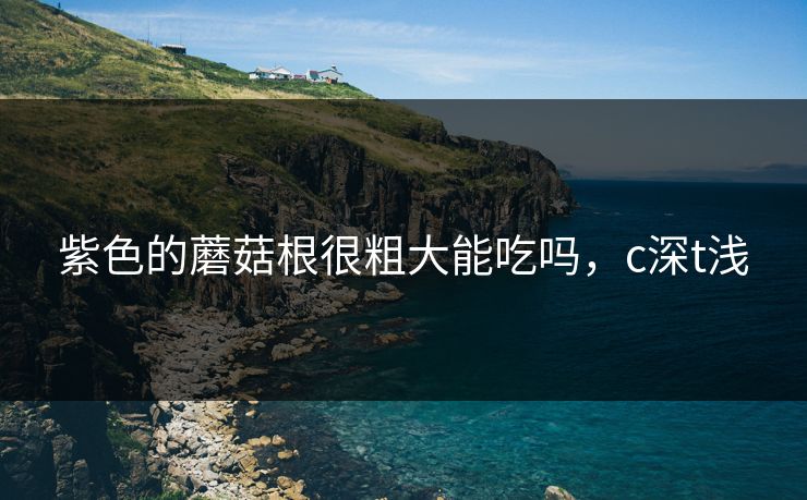 紫色的蘑菇根很粗大能吃吗,c深t浅 紫色的蘑菇根很粗大能吃吗,c深t浅